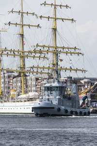 Mircea682. August 17.jpg