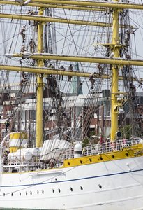 Mircea742. August 17.jpg