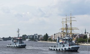 Mircea782. August 17.jpg