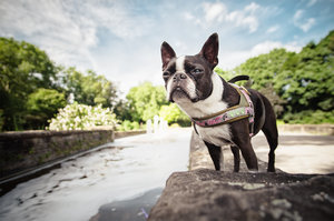 20170731-DSCF5089-2 bearb..jpg