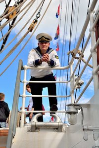 Mircea II482. August 17.jpg