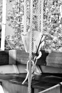 Mircea II772. August 17.jpg