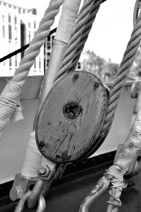 Mircea II912. August 17.jpg