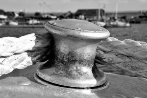 Mircea II972. August 17.jpg