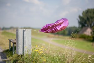 comp_BIMG_3698.jpg comp_BIMG_3698.jpg