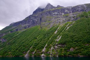 XT1D2907.jpg XT1D2907.jpg