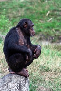 comp_SDIM9615_2-1 Kopie.jpg