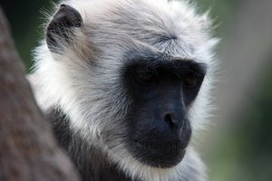 comp_SDIM9640_1-1 Kopie.jpg