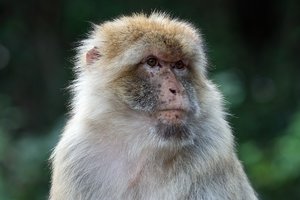 comp_SDIM9662_1-1 Kopie.jpg