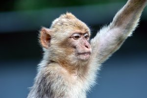 comp_SDIM9668_1-1 Kopie.jpg