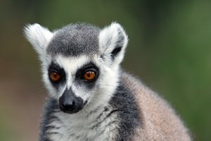 comp_SDIM9714_1-1 Kopie.jpg