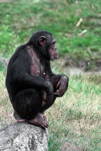 bearbeitet 01.jpg bearbeitet 01.jpg