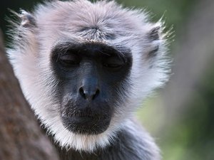 comp_SDIM9641_2-1 Kopie.jpg