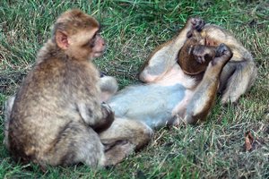 comp_SDIM9676_1-1 Kopie.jpg