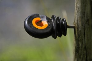 Isolator-SD10 - IMG09071_1.jpg