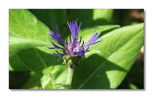 12883391.jpg 12883391.jpg