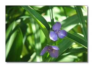 12852054.jpg 12852054.jpg