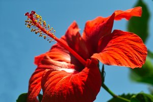 comp_SDIM0037_1-1 Kopie.jpg