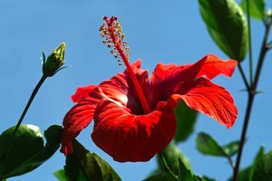 comp_SDIM0039_1-1 Kopie.jpg