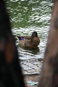 comp_SDIM9512_1-1 Kopie.jpg