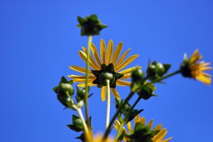 comp_SDIM0085_1-1 Kopie.jpg