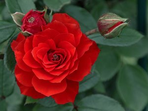 1 Ausschnitt 5800.jpg