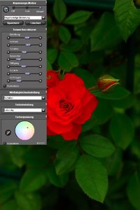 roterose_manuell _nurSPP.jpg