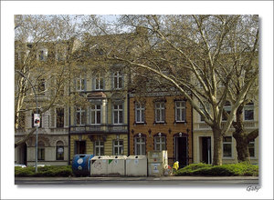 SDIM9960.jpg SDIM9960.jpg