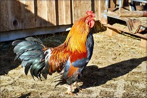 DSC00614.jpg DSC00614.jpg