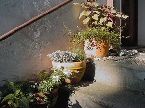 PIMG0015.jpg PIMG0015.jpg