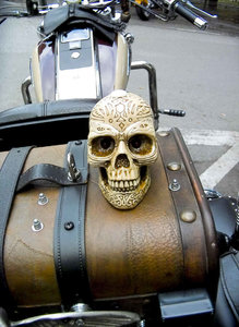 -Easy Rider-.jpg -Easy Rider-.jpg