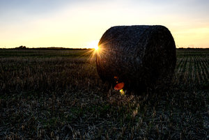 für Fotoforum-2.jpg