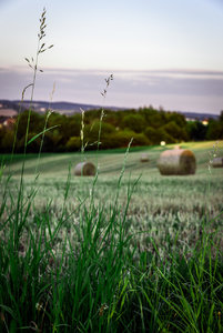 für Fotoforum-3.jpg