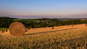 für Fotoforum-5.jpg
