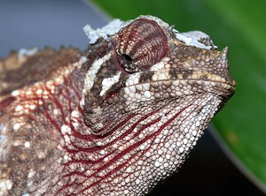 _D4S7217.jpg _D4S7217.jpg