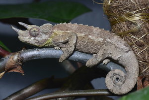 _D4S7205.jpg _D4S7205.jpg