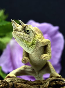 _D4S7180.jpg a.jpg _D4S7180.jpg a.jpg