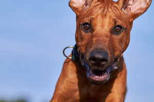 compr_IMG_2579.jpg compr_IMG_2579.jpg