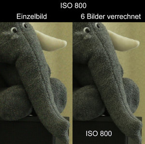 ISO800 - fertig.jpg
