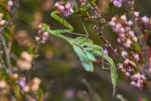 compr_IMG_6631.jpg compr_IMG_6631.jpg