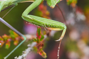 compr_IMG_6596.jpg compr_IMG_6596.jpg