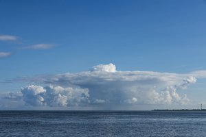 IMG_3563.jpg IMG_3563.jpg