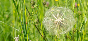 _MG_2637_1600.jpg _MG_2637_1600.jpg