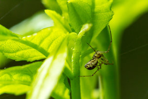 _MG_2183_1600.jpg _MG_2183_1600.jpg