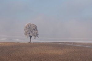 comp_Winter 2016-12-31-4.jpg comp_Winter 2016-12-31-4.jpg