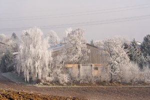 comp_Winter 2016-12-31-6.jpg comp_Winter 2016-12-31-6.jpg