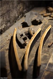 155 - Irland - 2017.jpg