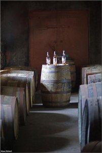 166 - Irland - 2017.jpg