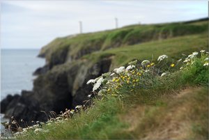 007 - Irland - 2017.jpg