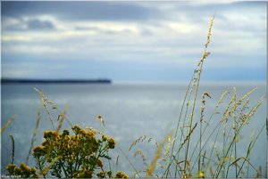 010 - Irland - 2017.jpg